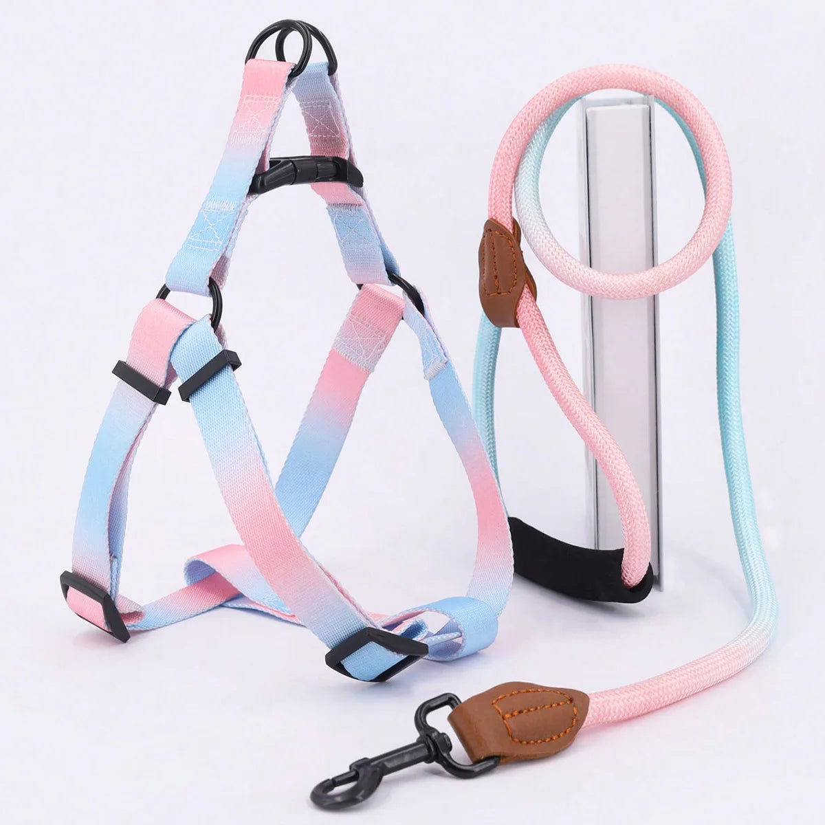 Colorful pet harness with leash