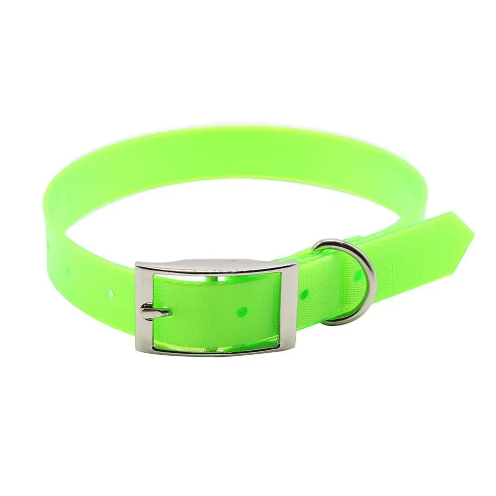 Fashion Pet Dog Collar