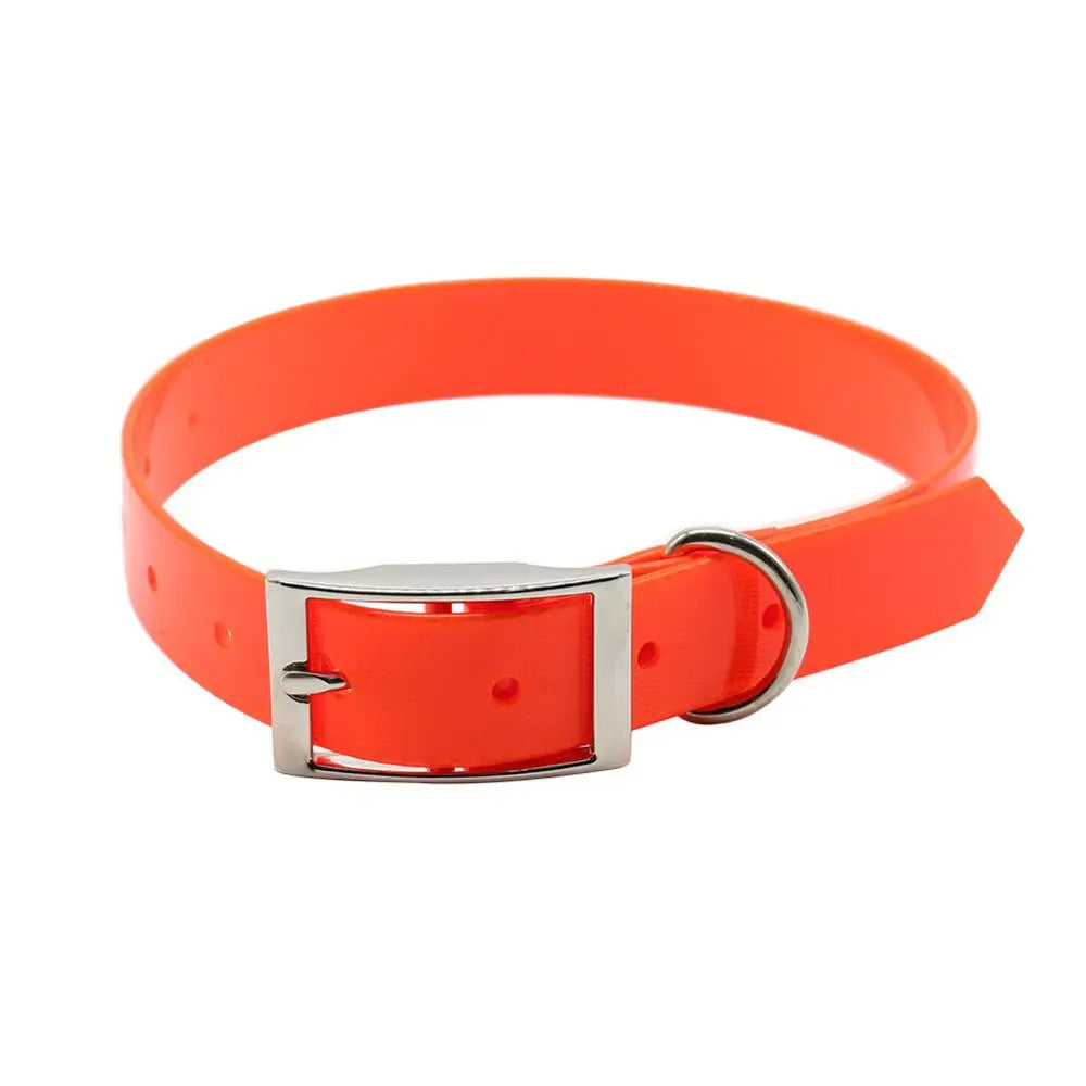 Fashion Pet Dog Collar