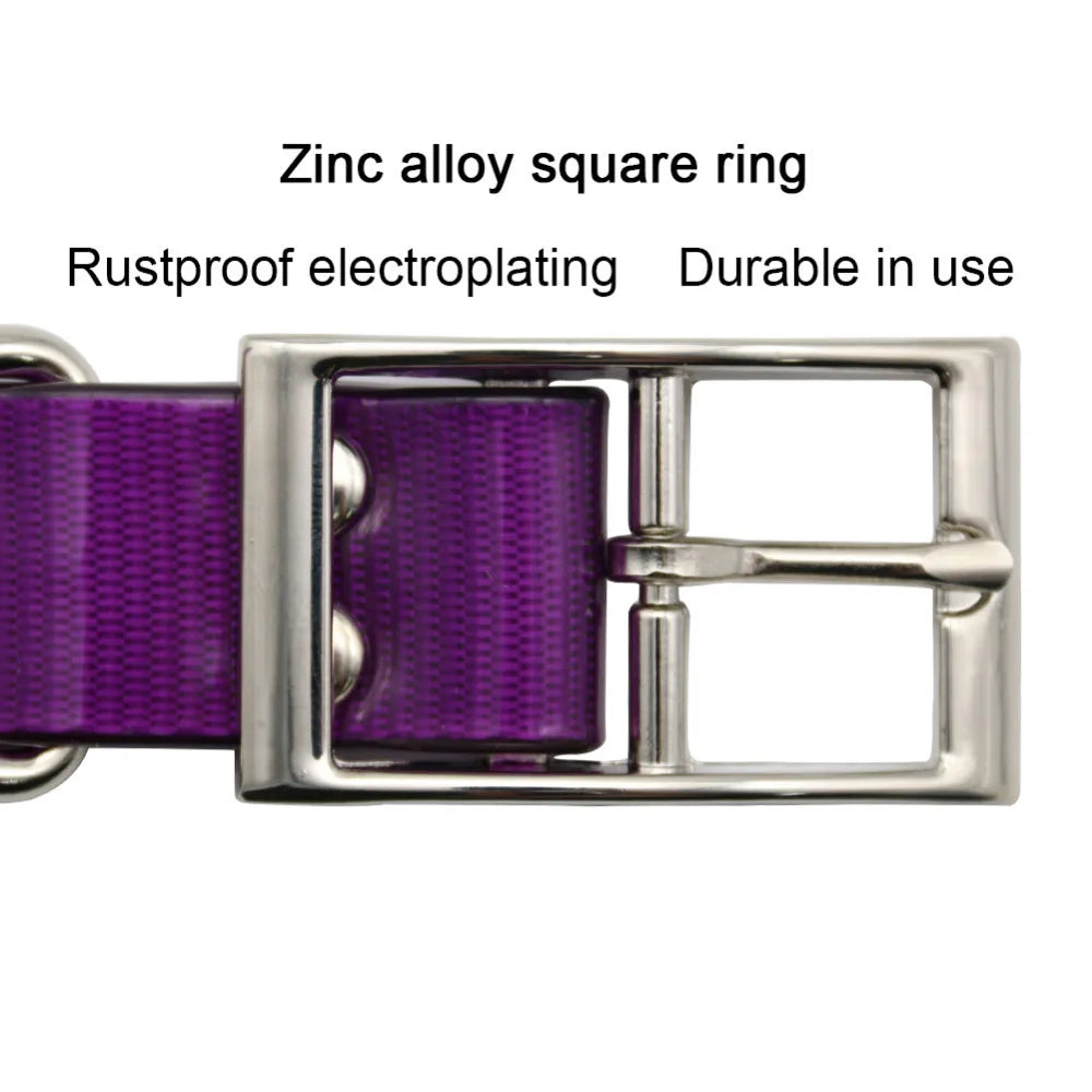 Fashion Pet Dog Collar