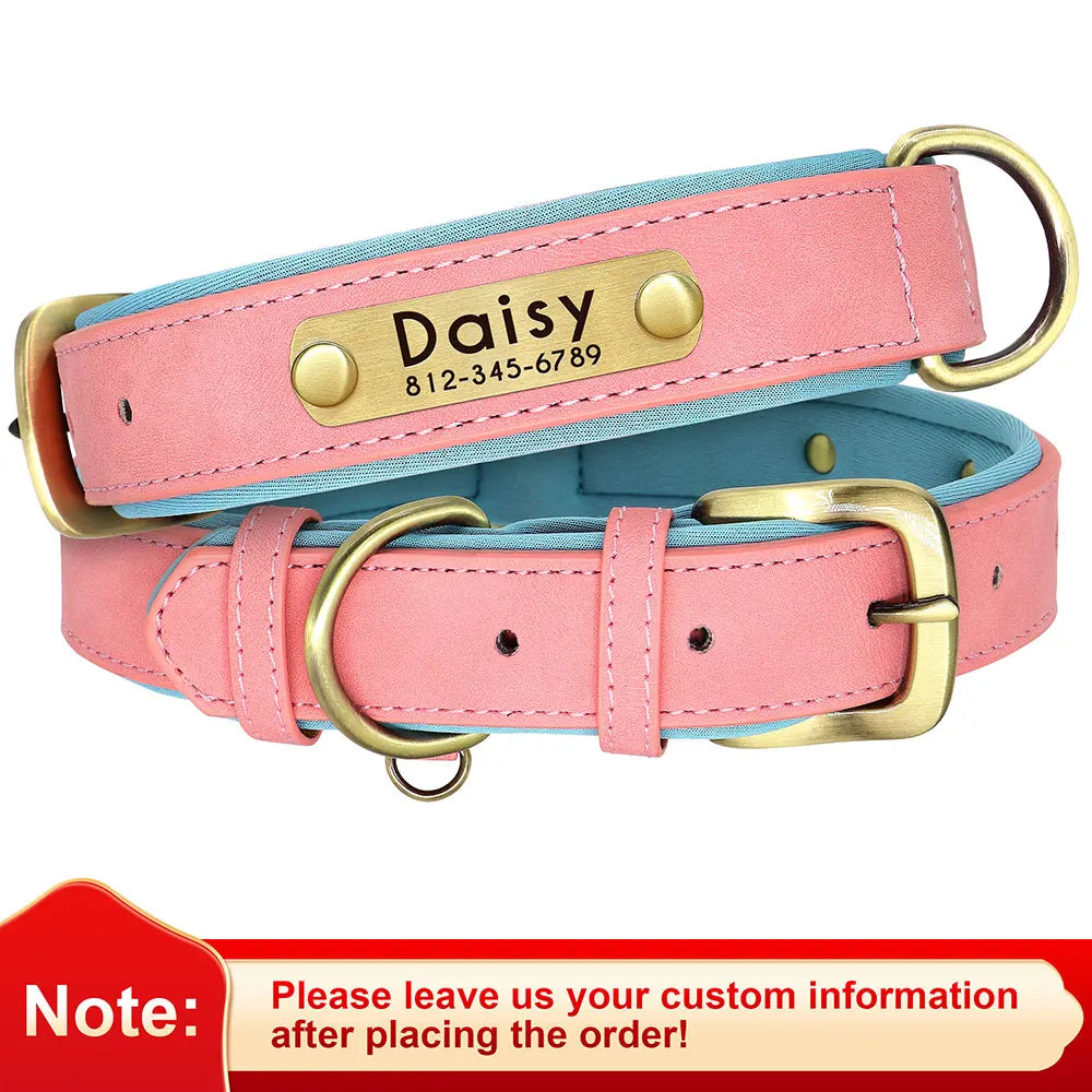 Leather Nameplate Dog Collar