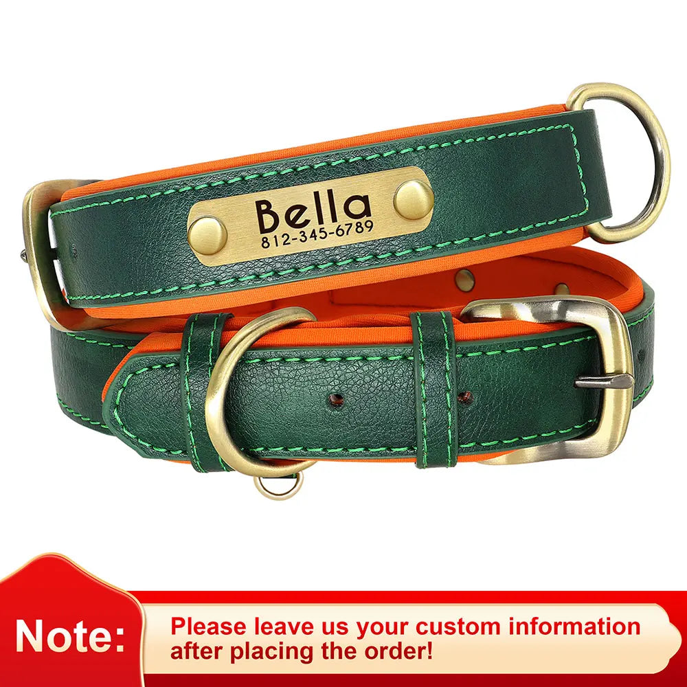 Leather Nameplate Dog Collar