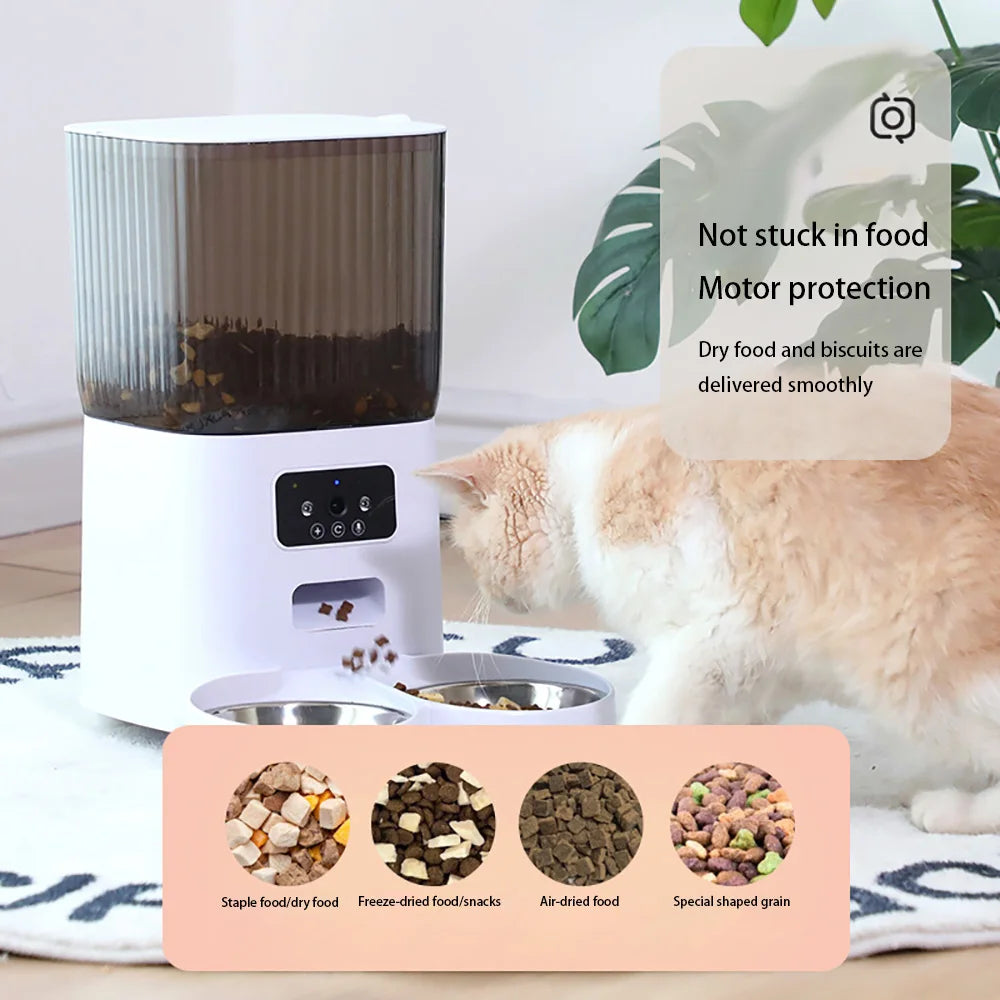 Smart Automatic Cat Feeder