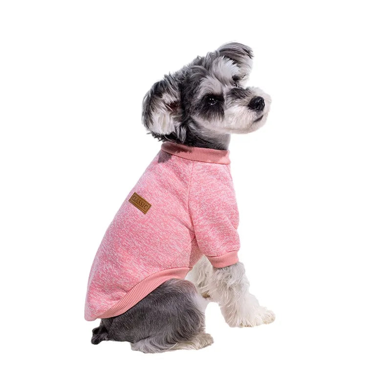 Puppy Cat Jacket