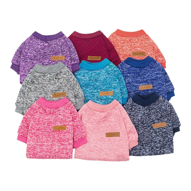 Puppy Cat Jacket