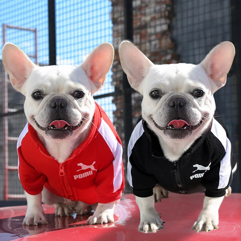 Dog Winter Clothes
