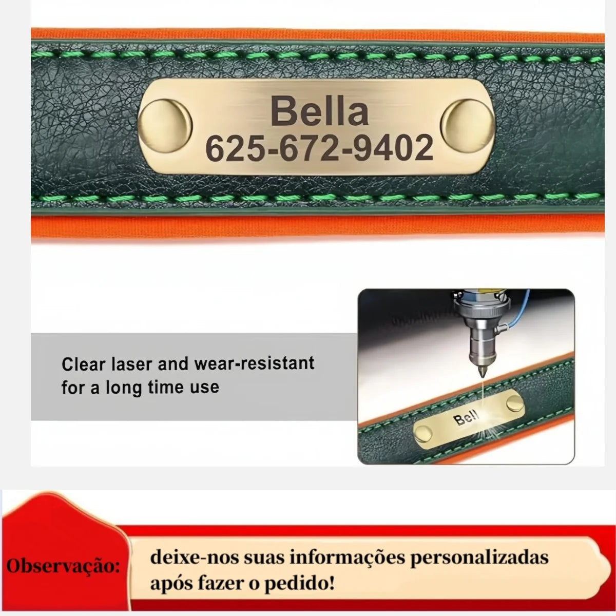 Leather ID Dog Collar