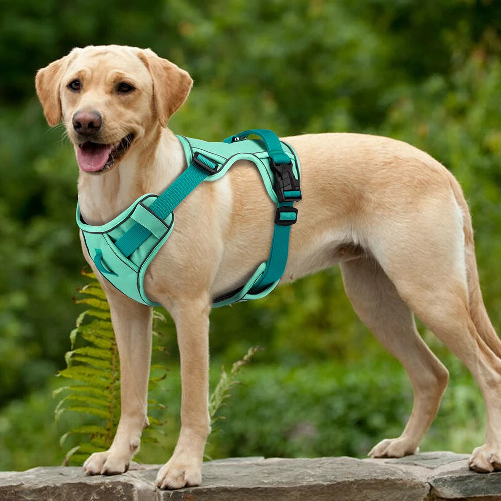 Mesh Breathable Dog Harness