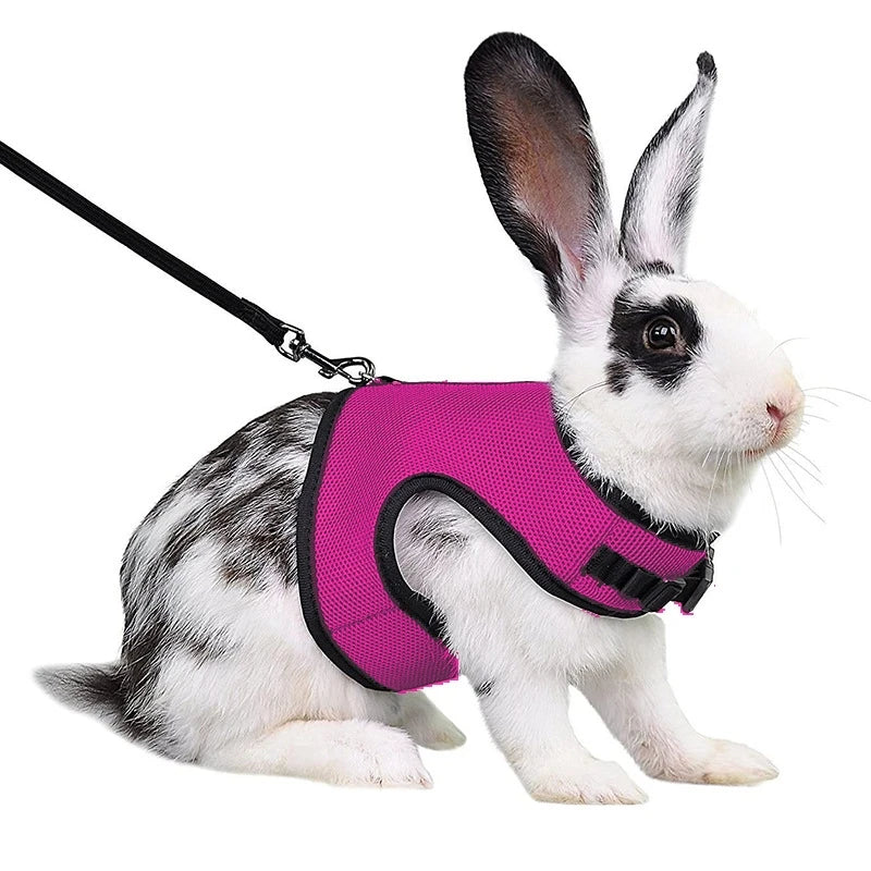 Adjustable Soft Harness