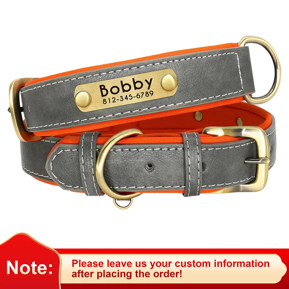 Leather Nameplate Dog Collar