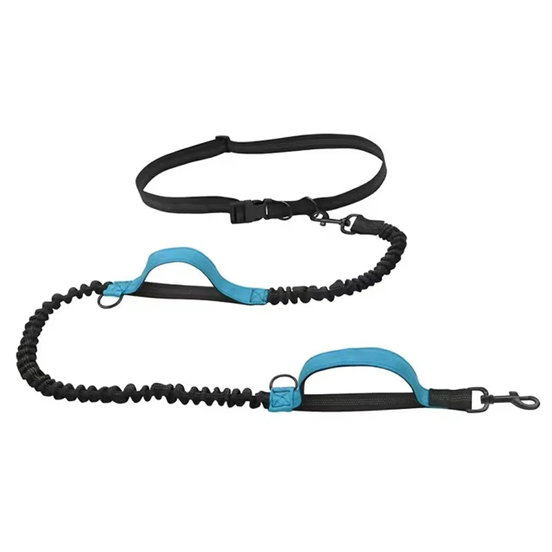 Pet Dual Elastic Leash