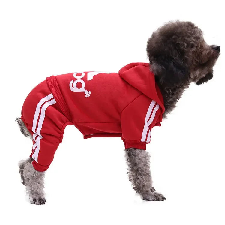 Winter Pet Clothes