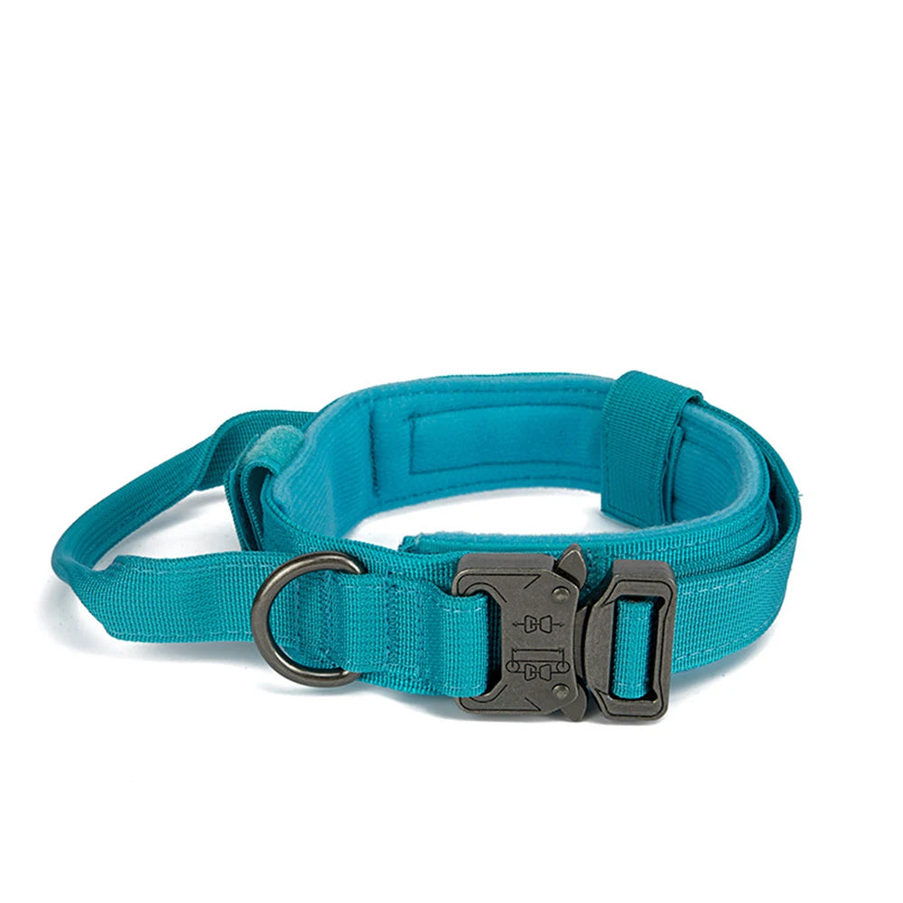Pet Dog Collar Leash Set