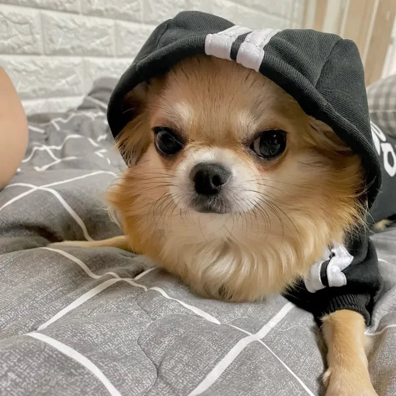 Warm Dog Clothes