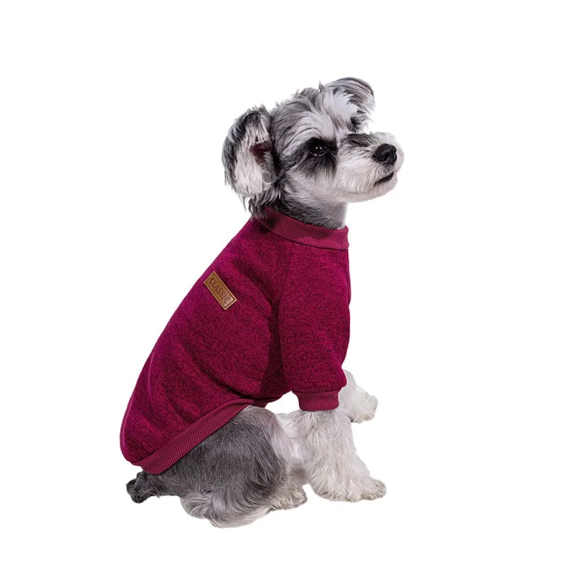 Puppy Cat Jacket