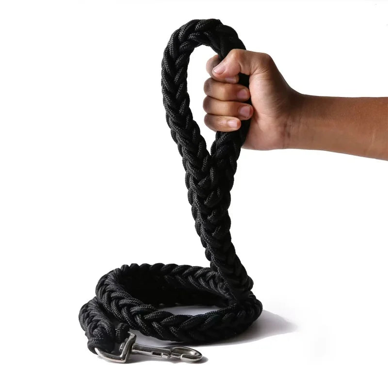 Large Dog Leash