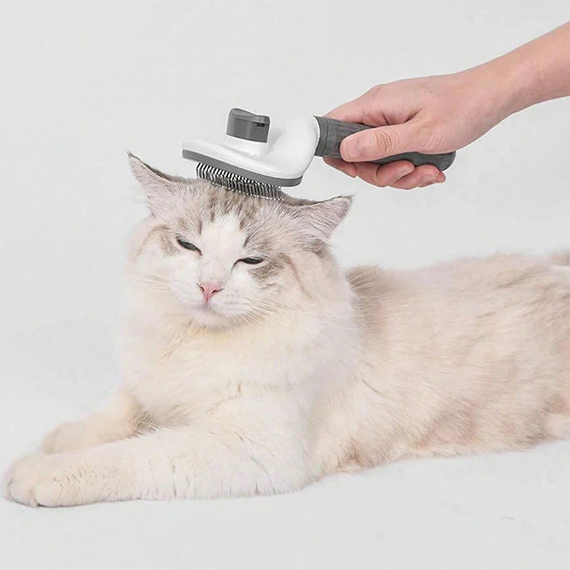 Pet dog special comb