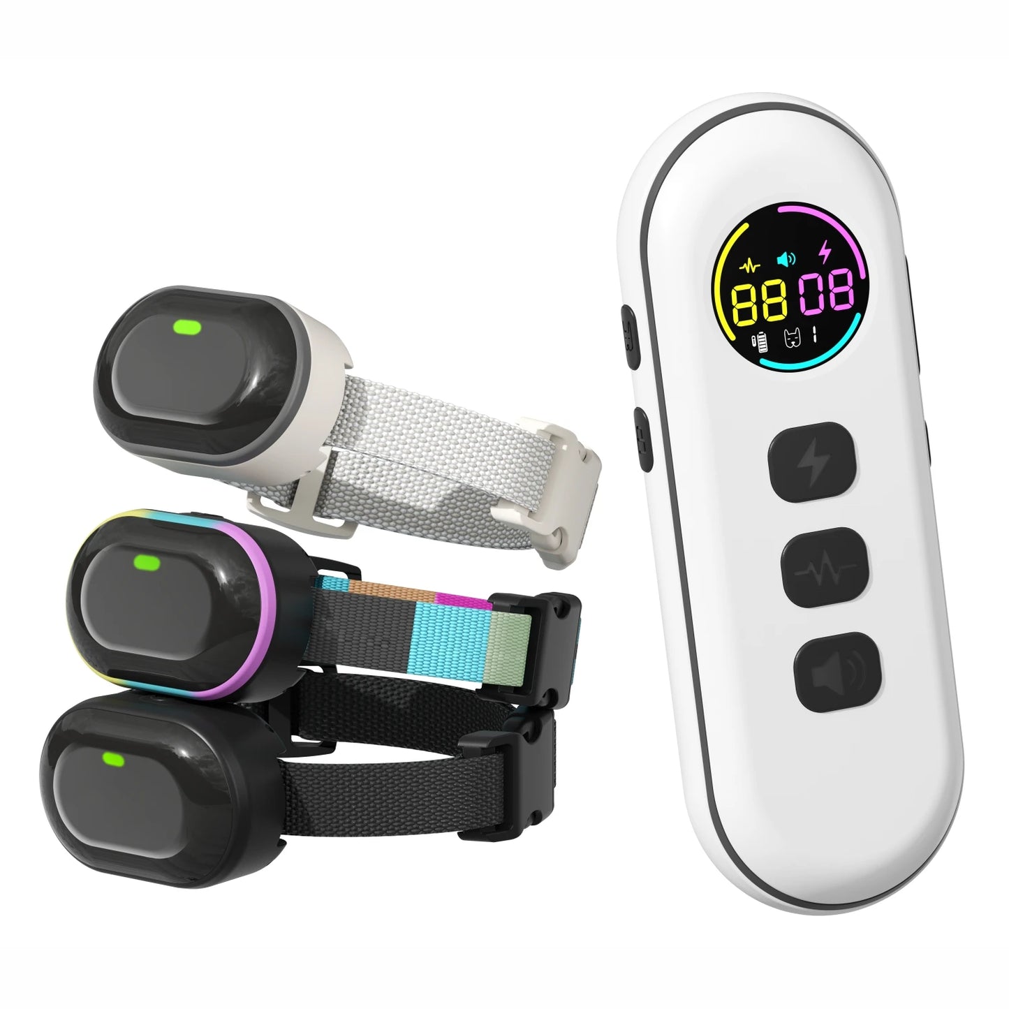 Small Dog Training Collars