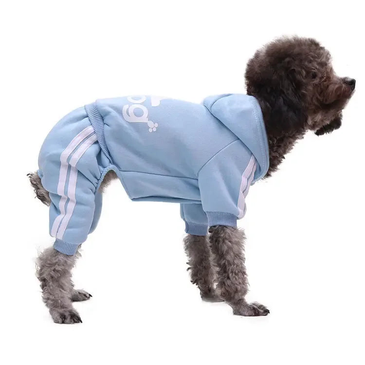 Winter Pet Clothes