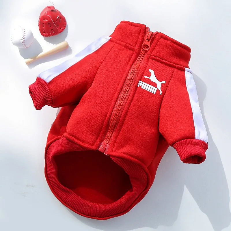 Dog Winter Clothes