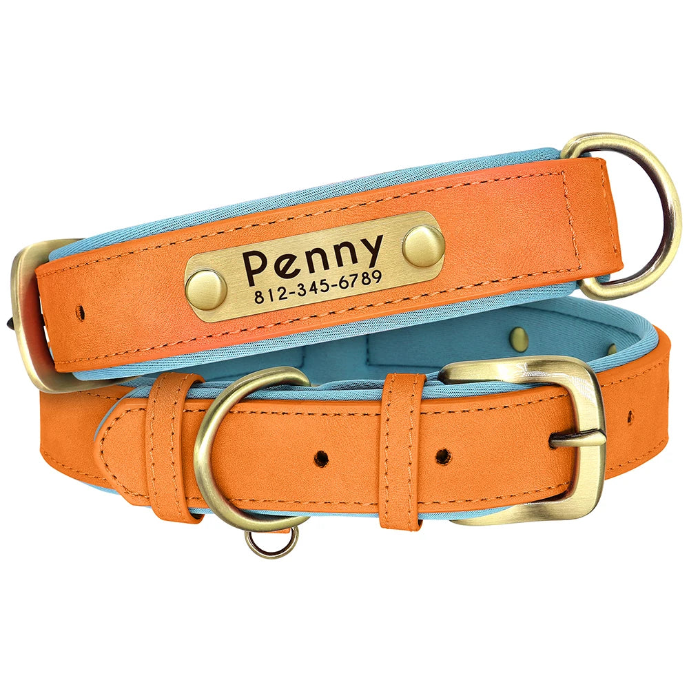 Leather Nameplate Dog Collar