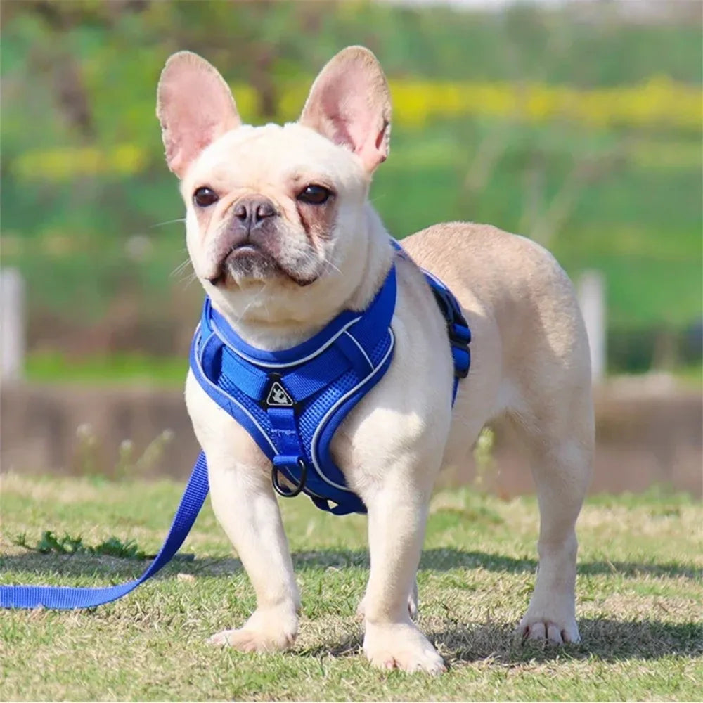 Adjustable Pet Harness Vest