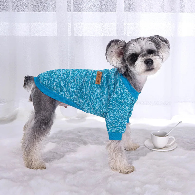 Puppy Cat Jacket