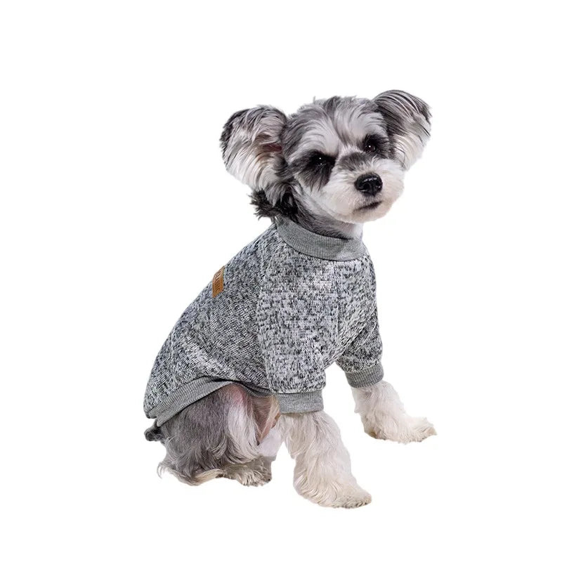 Puppy Cat Jacket