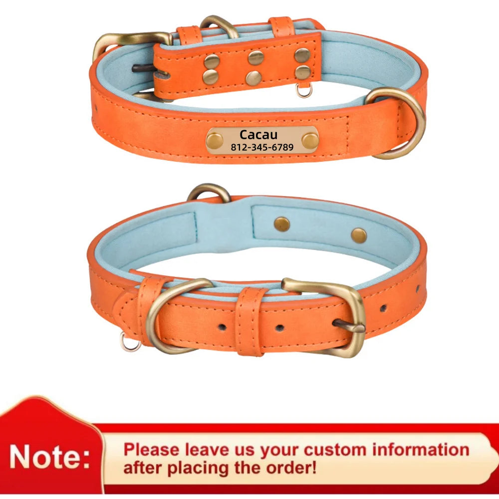 Leather ID Dog Collar