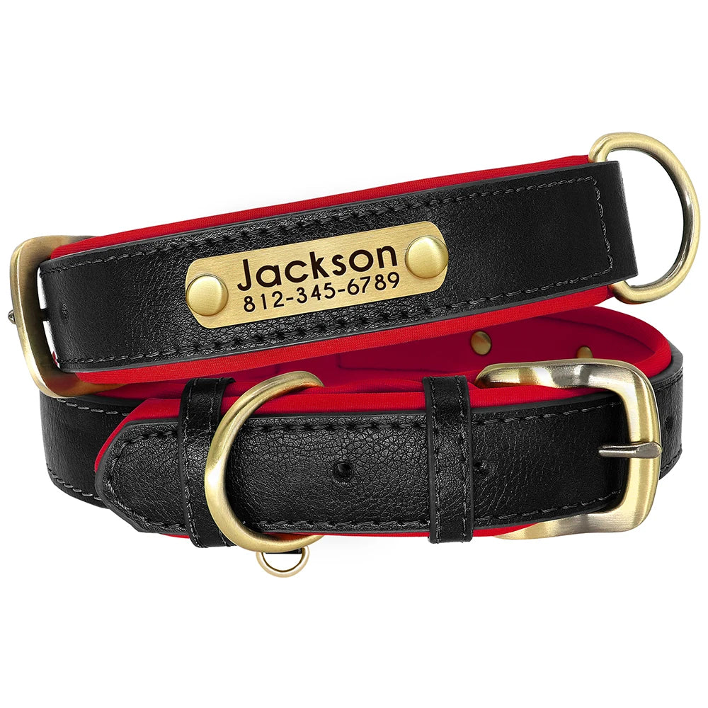 Leather Nameplate Dog Collar