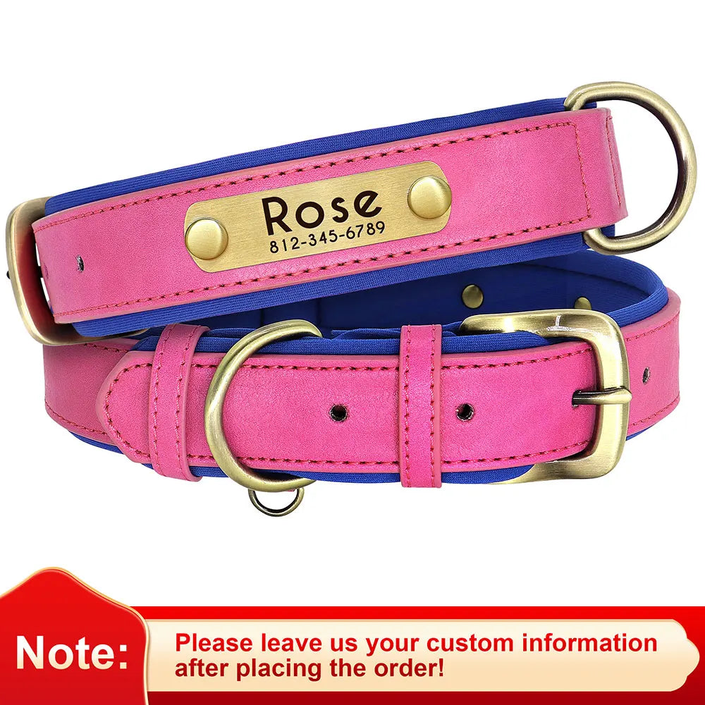 Leather Nameplate Dog Collar