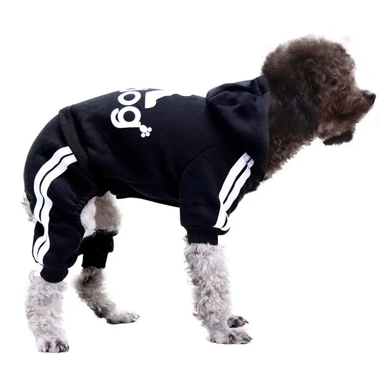 Winter Pet Clothes