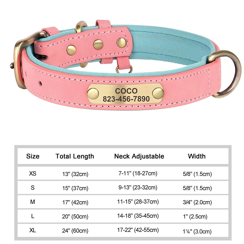 Leather ID Dog Collar