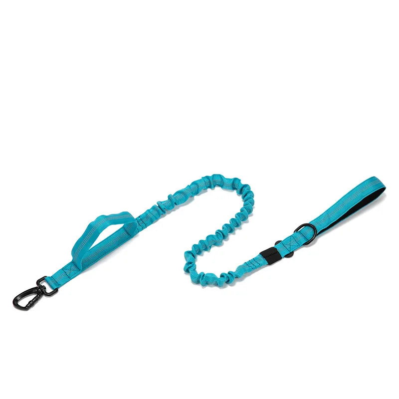 Pet Dog Collar Leash Set