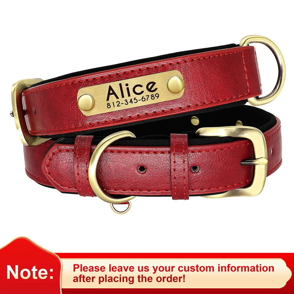 Leather Nameplate Dog Collar