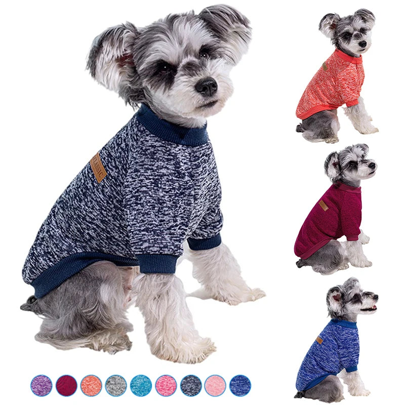 Puppy Cat Jacket
