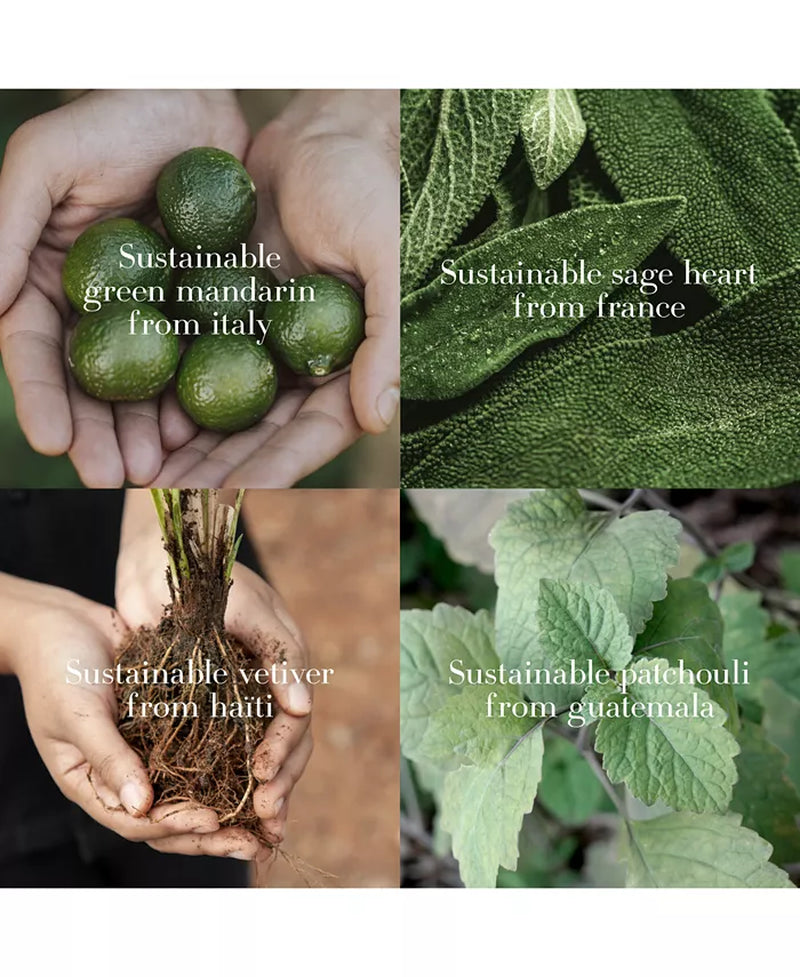 Acqua Di Gio Eau De Parfum Refill, 5.1 Oz.