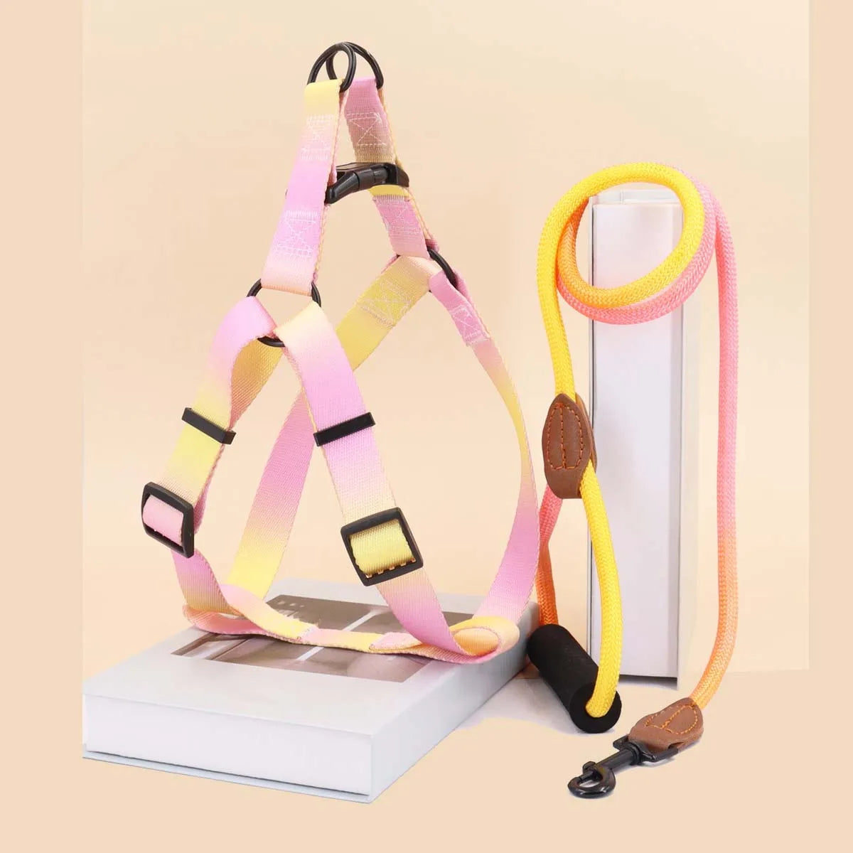 Colorful pet harness with leash