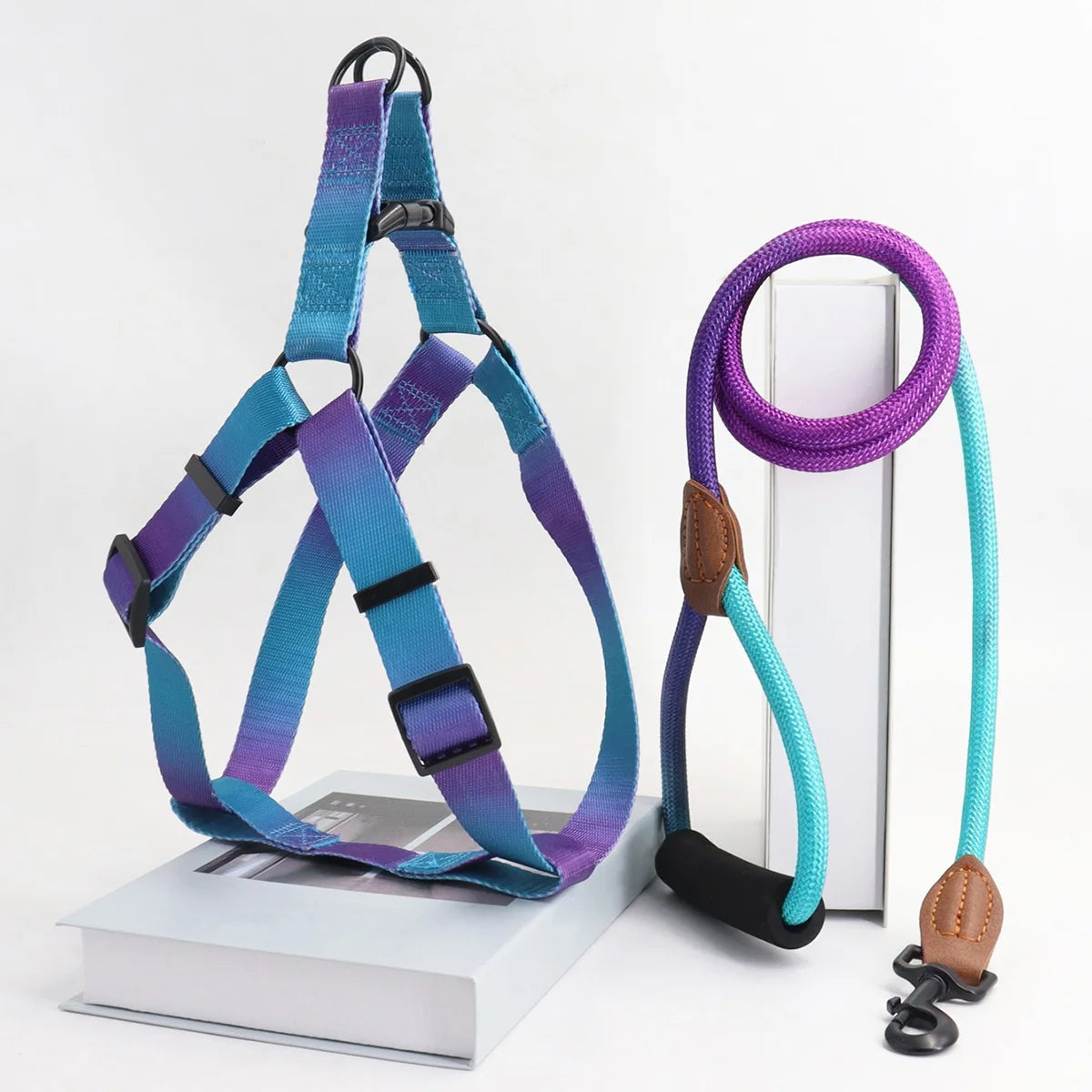 Colorful pet harness with leash