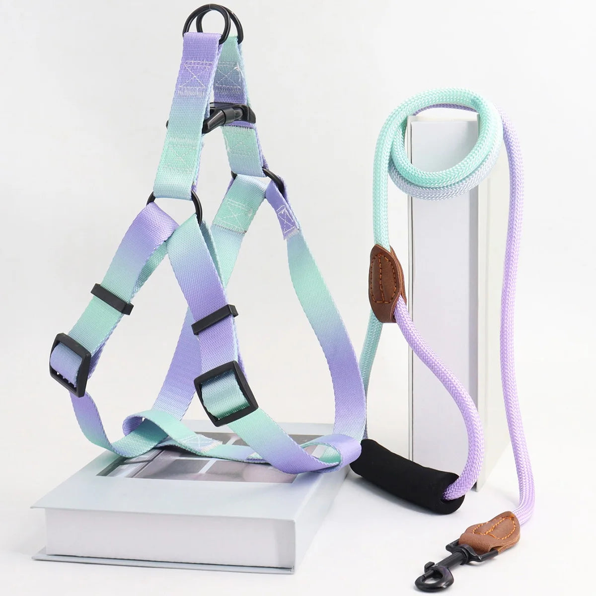 Colorful pet harness with leash