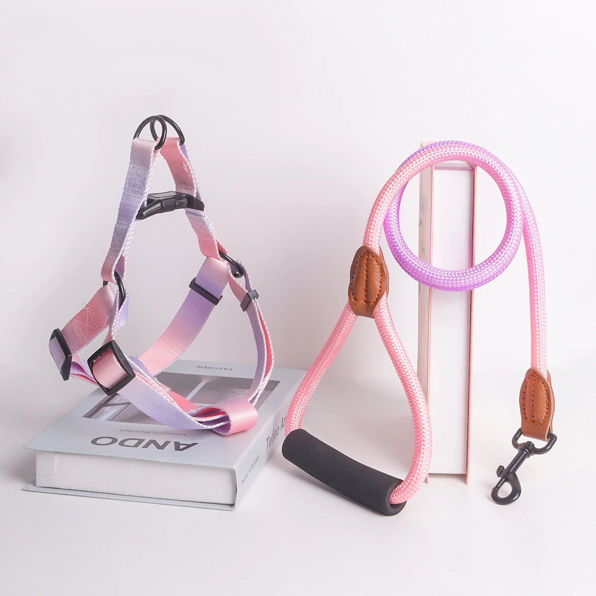Colorful pet harness with leash