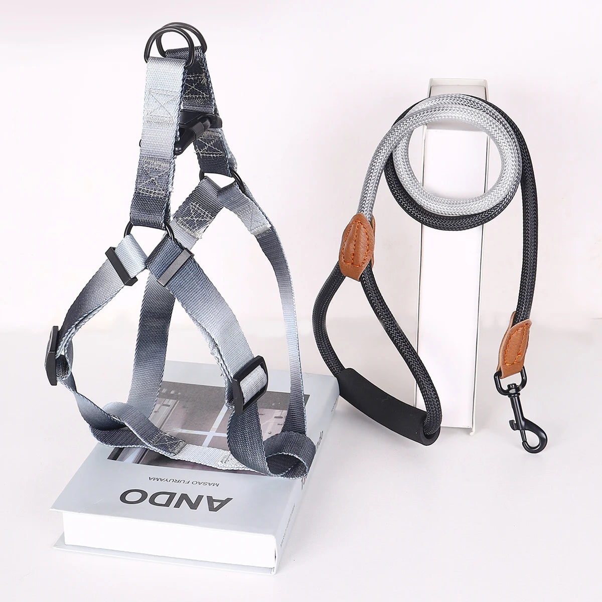 Colorful pet harness with leash