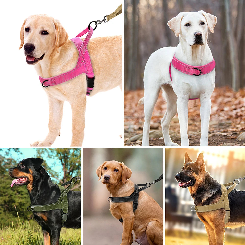 Nylon Durable Dog Harness