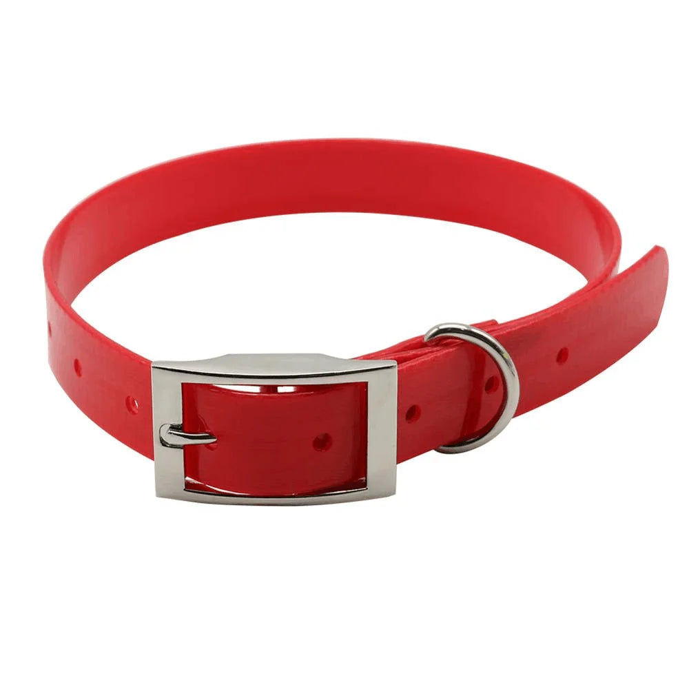 Fashion Pet Dog Collar