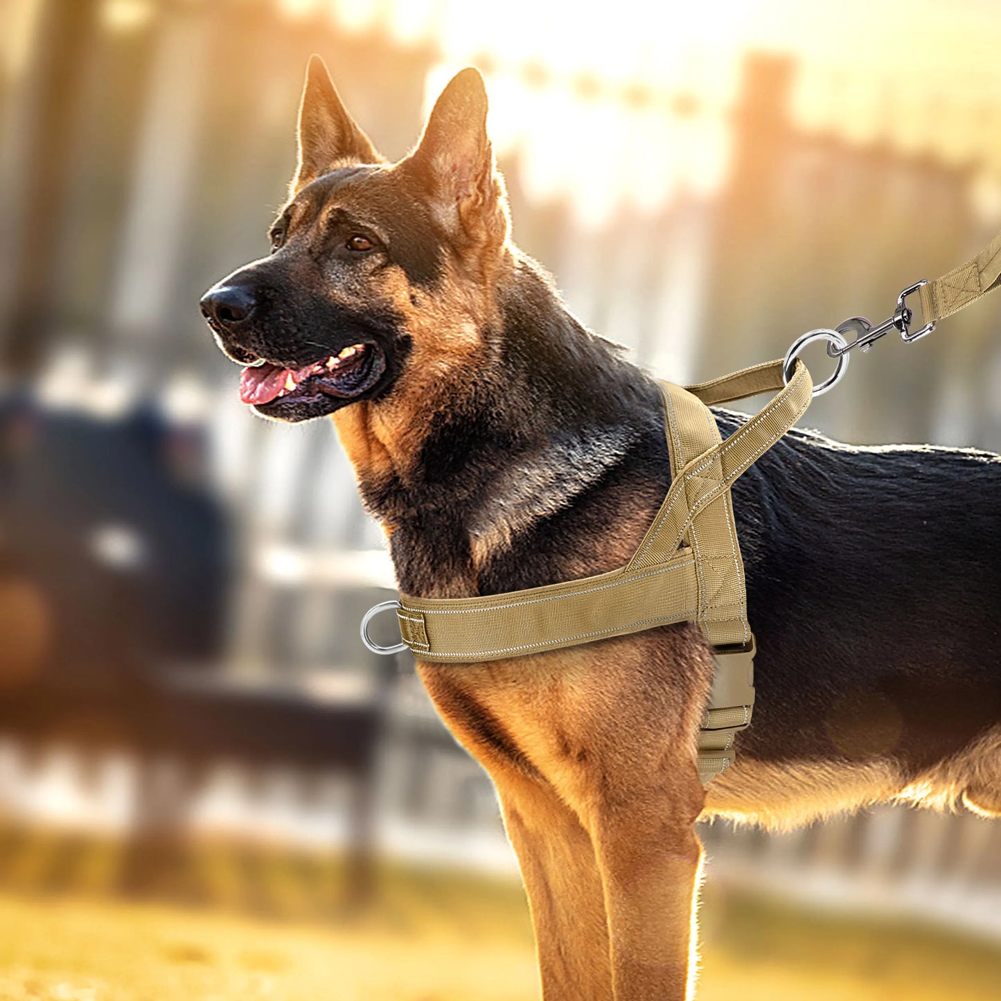 Nylon Durable Dog Harness