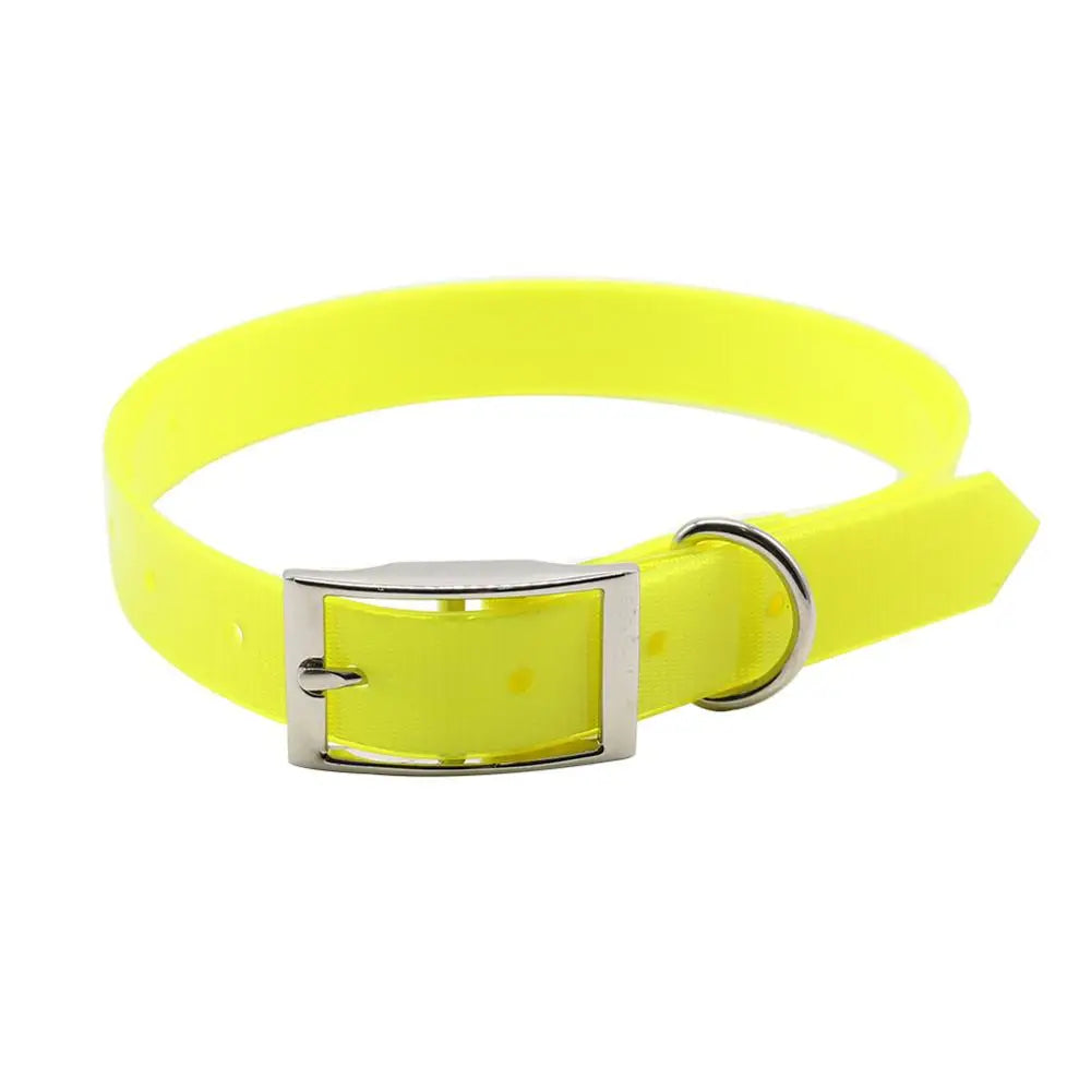 Fashion Pet Dog Collar