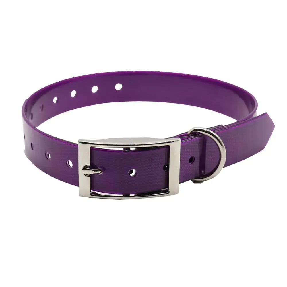 Fashion Pet Dog Collar