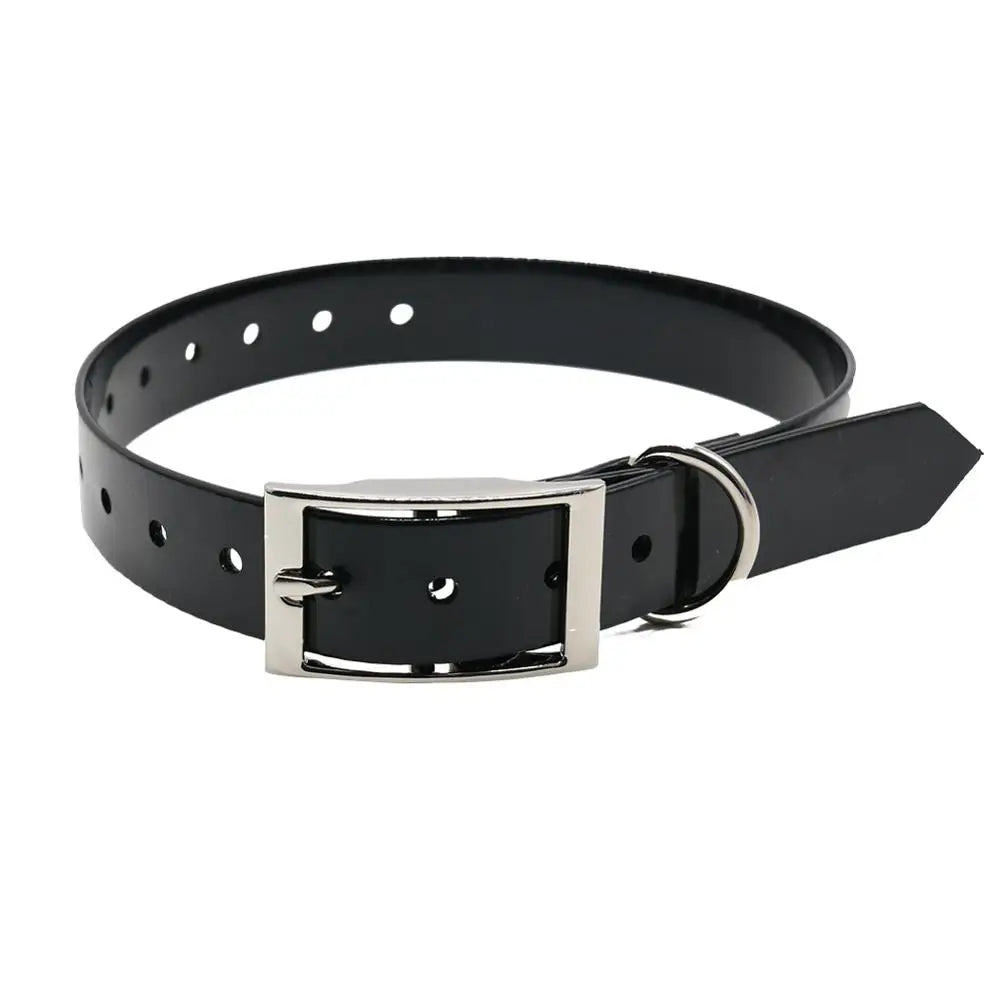 Fashion Pet Dog Collar