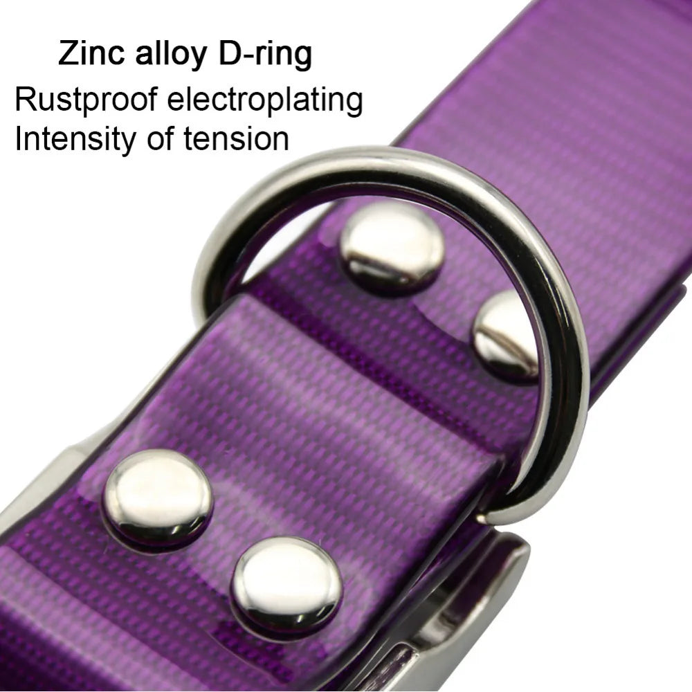 Fashion Pet Dog Collar