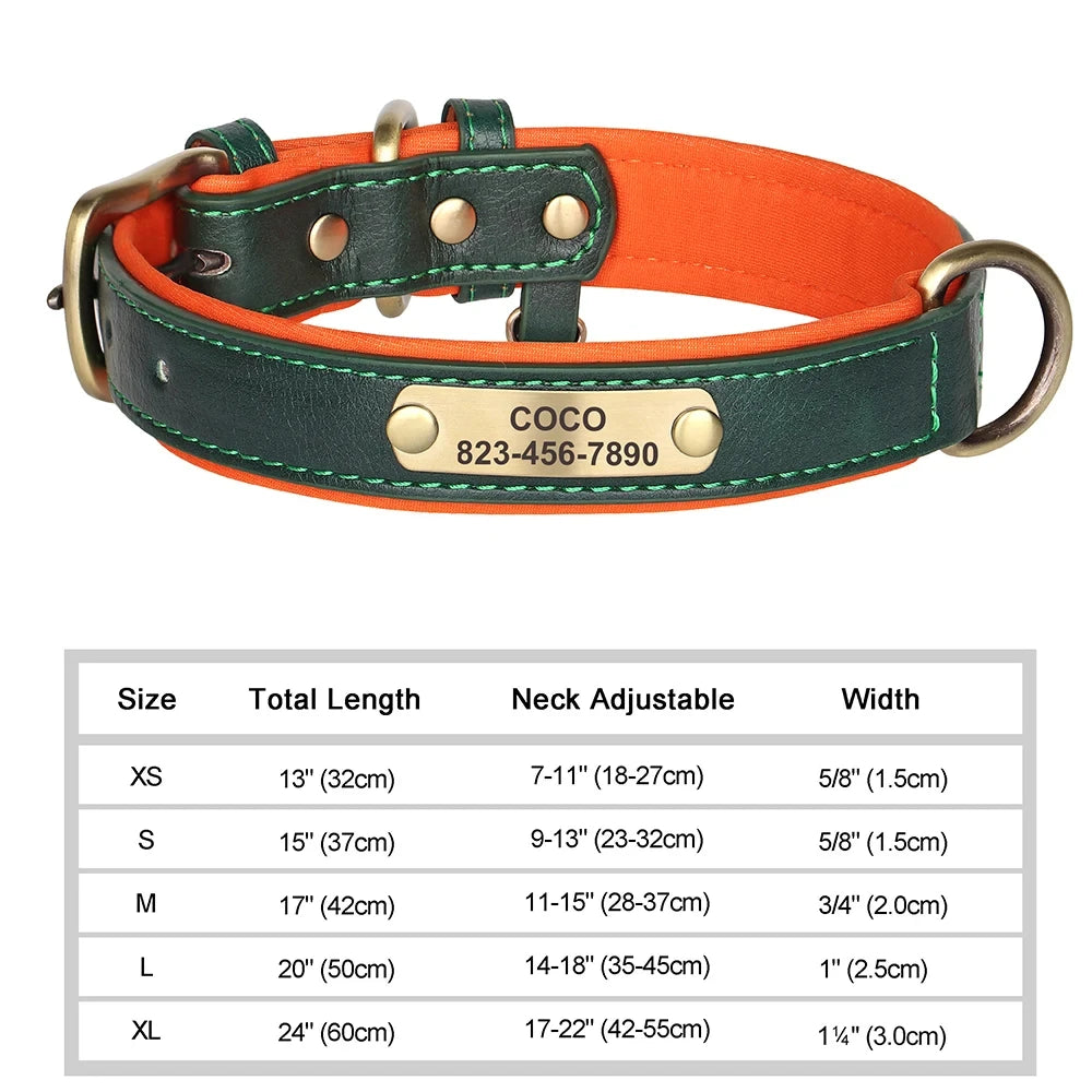 Leather ID  Dog Collar